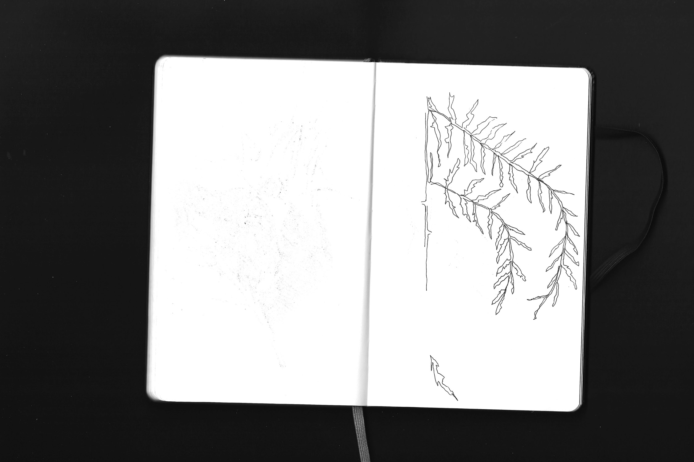 Dit is een afbeelindg van mijn project