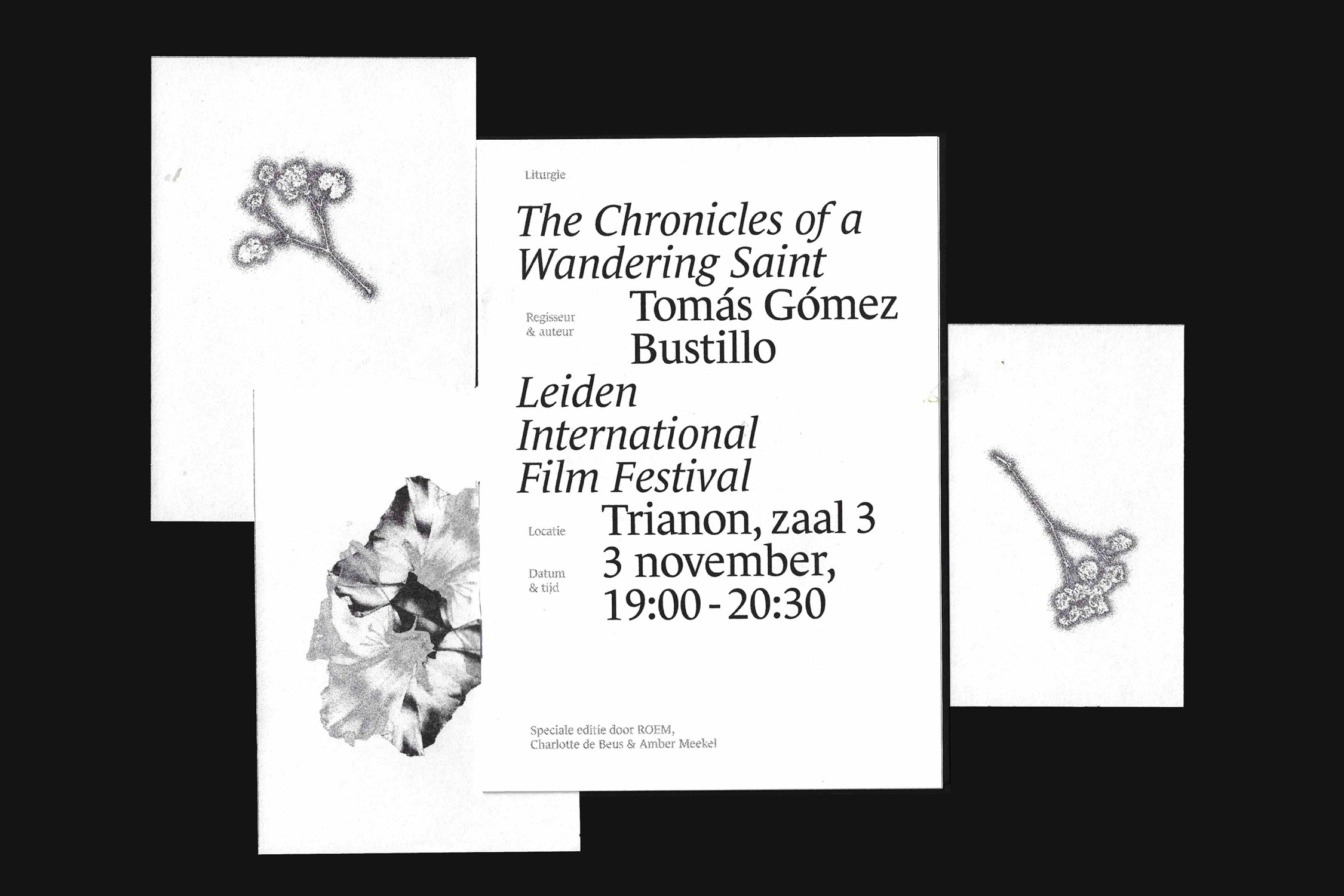 Limited Edition installation during a screening of Leiden International Film Festival