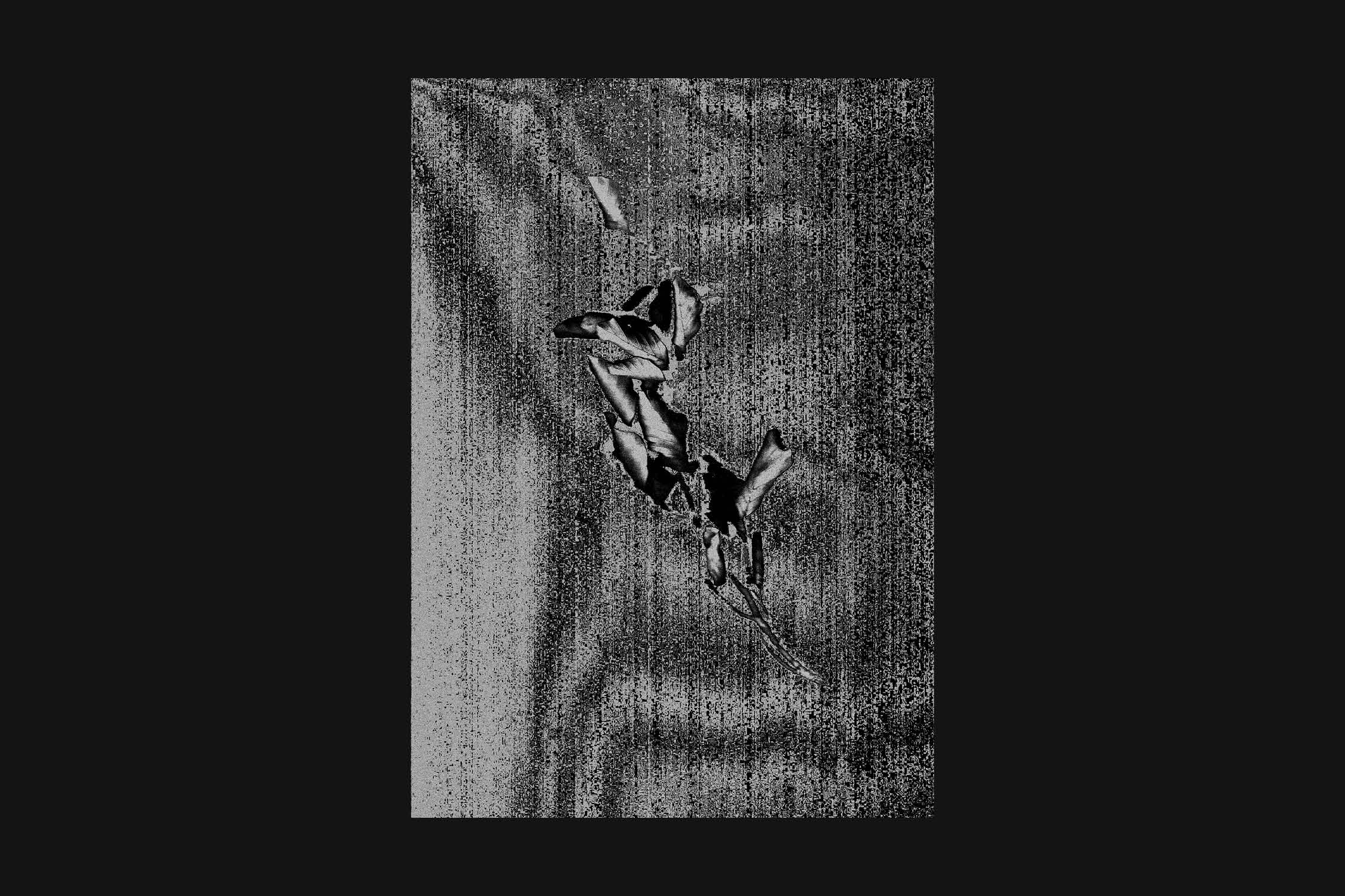 Installation about the healing power of nature and (re)connecting with the environment and my childhood memories