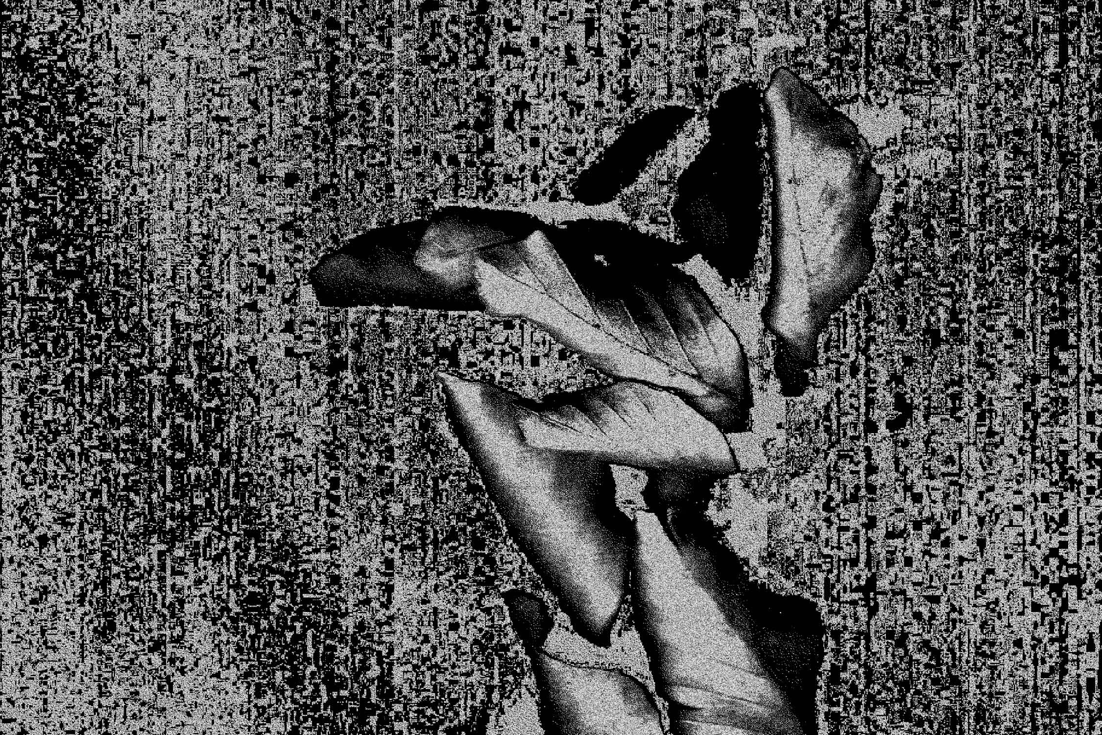 Dit is een afbeelindg van mijn project