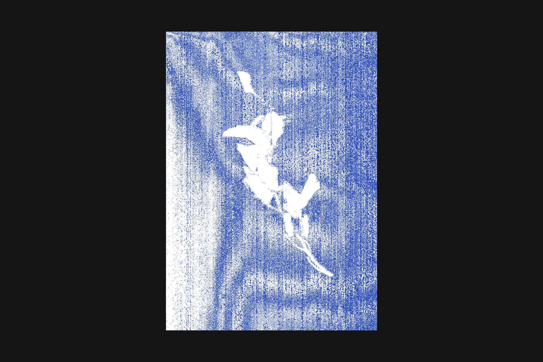 Dit is een afbeelindg van mijn project